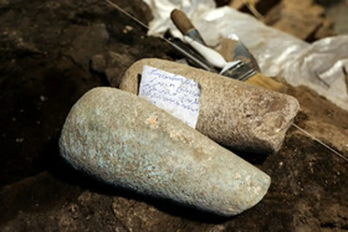 عمر تهران در زیرزمین یک مغازه