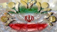 دستگاه‌های اجرایی نفع خود را در ارتباط با شوراها دیدند