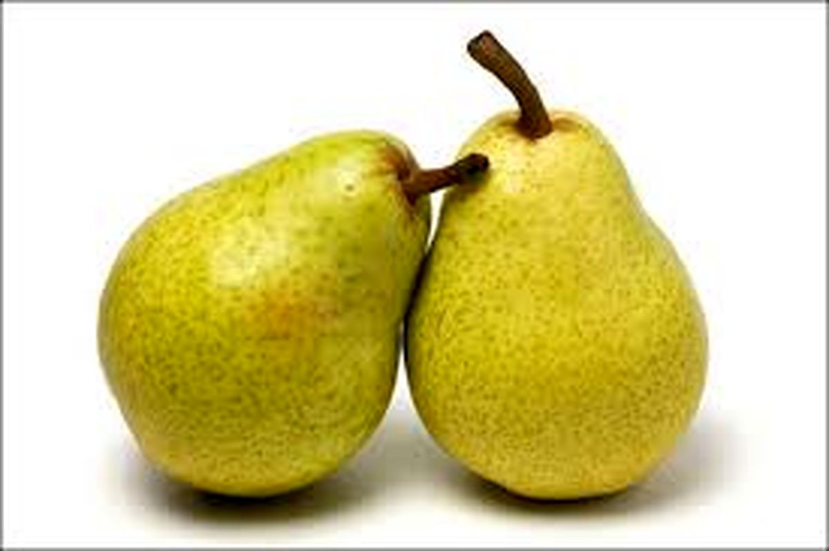 این میوه خوشمزه به سرعت لاغرتان می کند