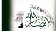 تشکر ویژه رهبر انصارالله از مالزی