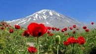 ابهام در موضوع واگذاری بخشی از کوه دماوند/ نامه نگاری محیط زیست با رییس دستگاه قضا
