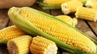 میزان آهن موجود در ذرت بو داده