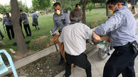 بانک اطلاعاتی معتادان تهران تشکیل می شود/جمع آوری ۶ هزار معتاد