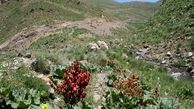 مستند «اقلیم» نوروز ۹۸ به روی آنتن شبکه 3