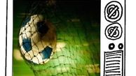 دیدارهای این هفته استقلال و پرسپولیس از کدام شبکه ها پخش می شود؟