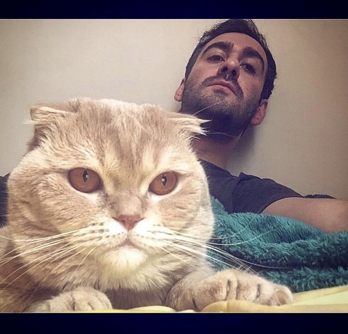 گربه پشمالوی نیما شعباننژاد + عکس