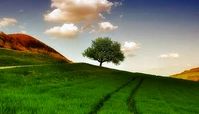 راه هایی برای زیباتر کردن زندگی