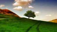 راه هایی برای زیباتر کردن زندگی