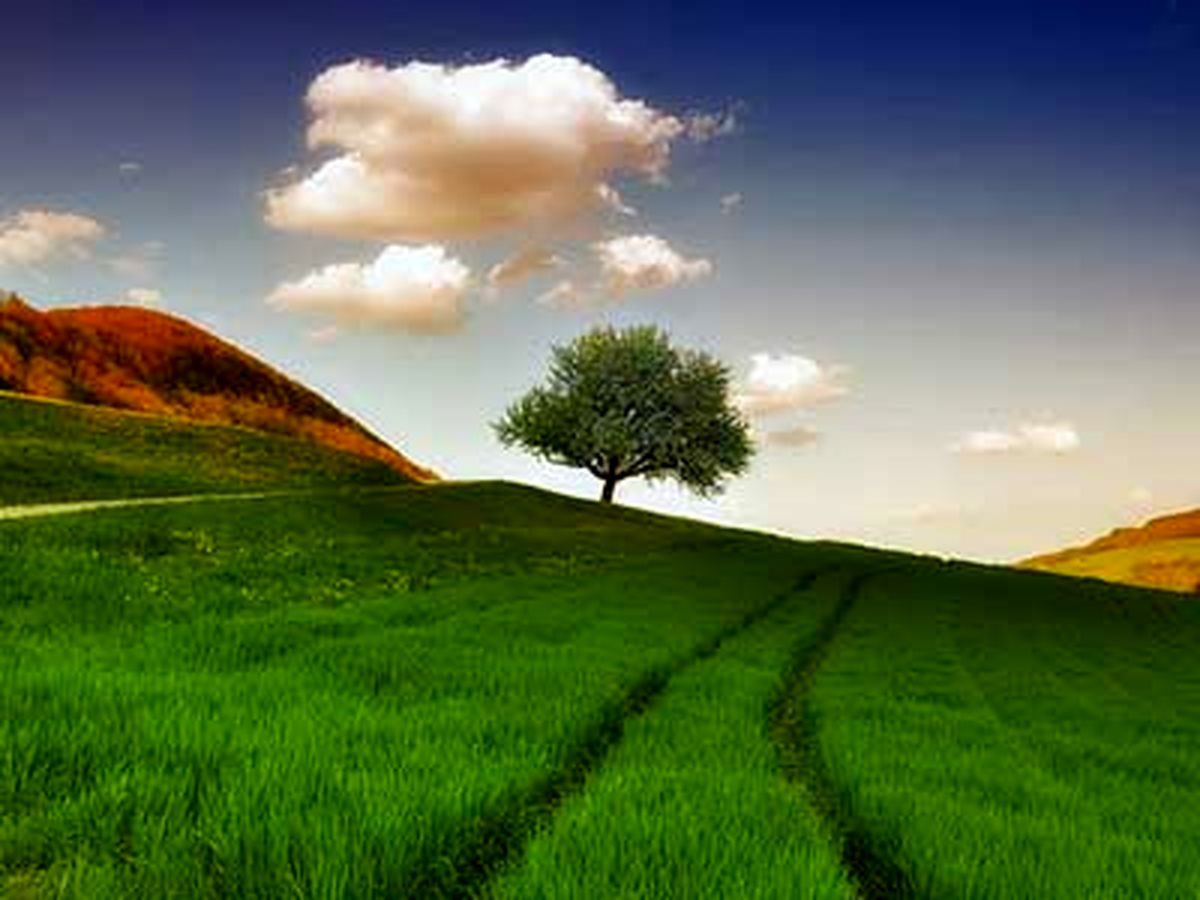 راه هایی برای زیباتر کردن زندگی