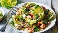 طرز تهیه سالاد مرغ و کاهو مجلسی به 2 روش با سس ویژه