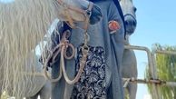 تیپ عجیب نازنین بیاتی در باشگاه اسب سواری