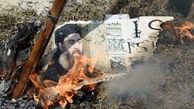 ابوبکر البغدادی ۳۲۰ نفر از عناصر داعش را اعدام کرد