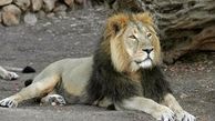 اعتراض به مستند بی بی سی