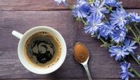 قهوه کاسنی یا چیکوری کافی چیست ؟