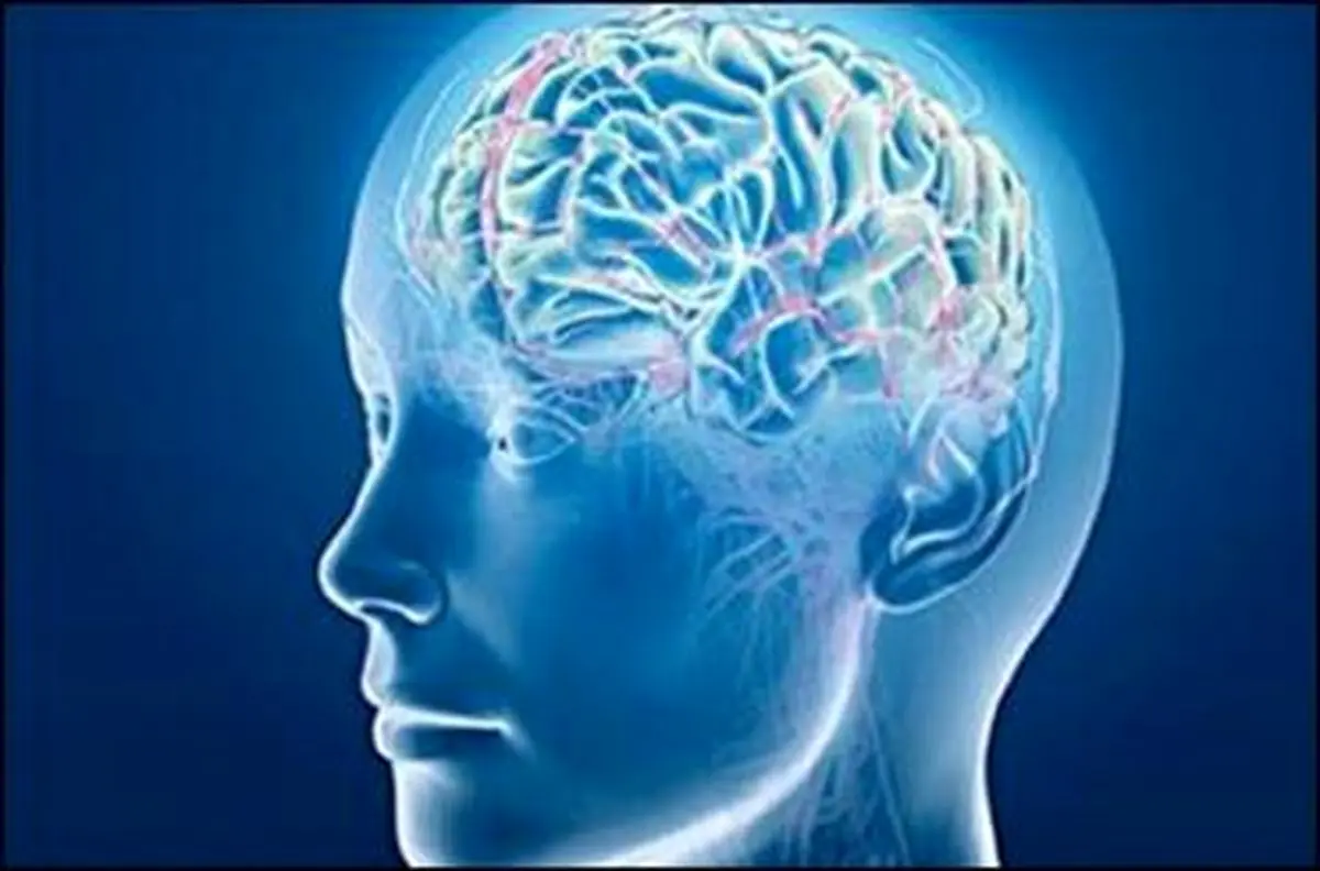 ابتلا به تومور مغزی در افراد تحصیلکرده شایع تر است