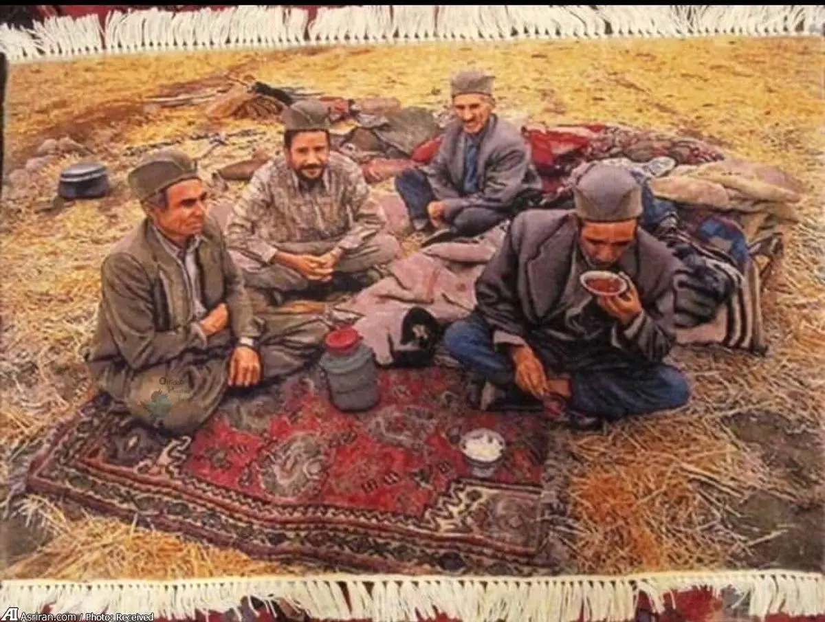 یک فرش اعجاب انگیز (عکس)