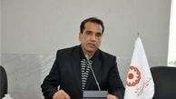خانواده‌های دارای فرزند چندقلو حمایت می‌شوند