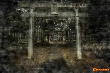 w3