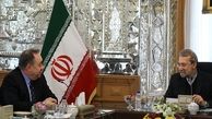 تفکرات تروریستی در هیچ شاخه‌ای از مسلمانان وجود ندارد