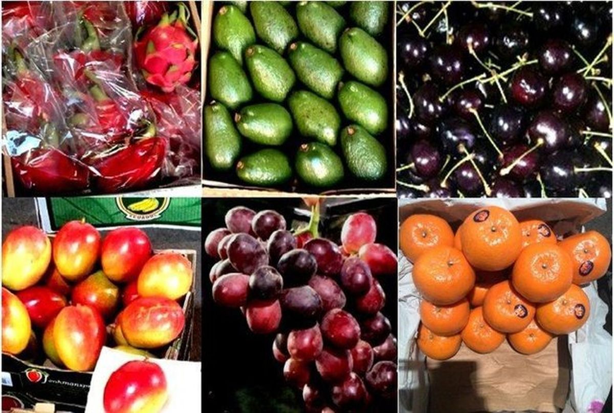 میوه‌های بدون مجوز چگونه وارد می‌شوند؟