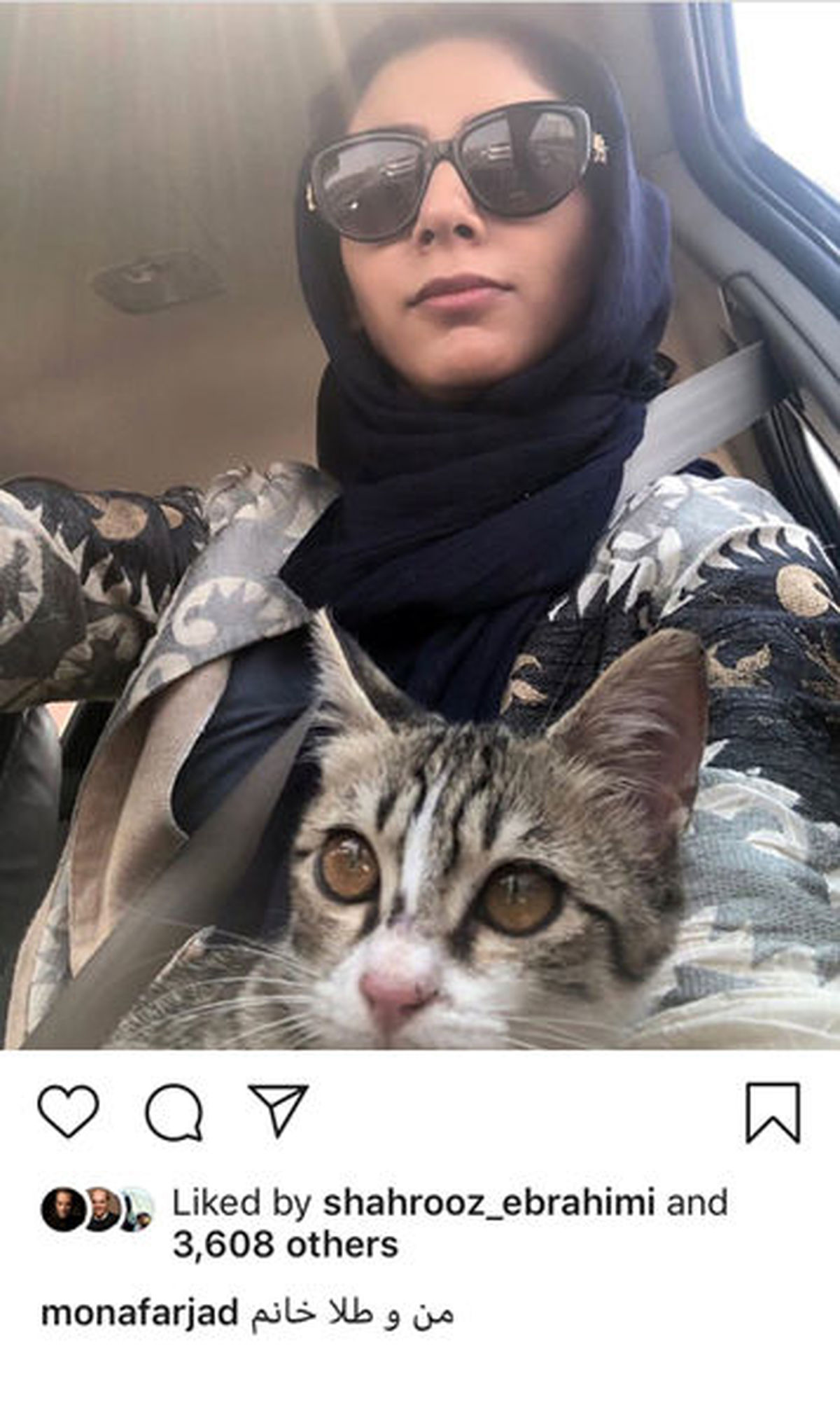رانندگی مونا فرجاد با گربه اش + عکس