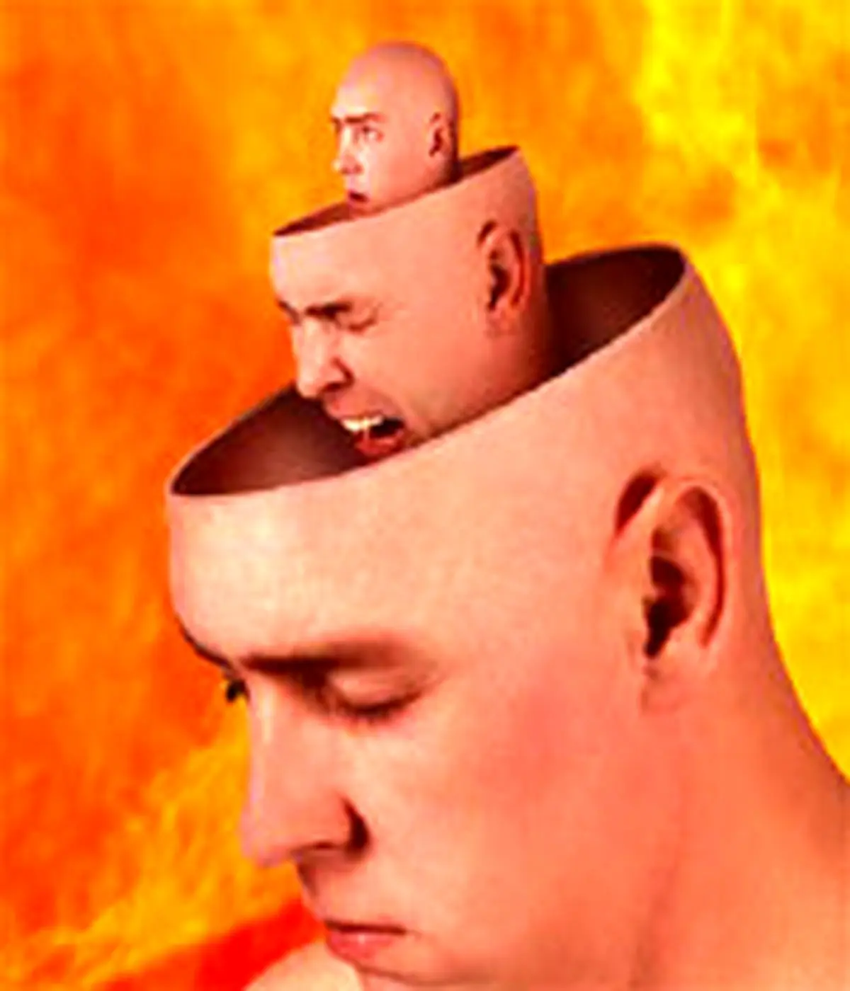 یک ویژگی جالب کله گنده‌ها!