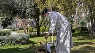 رئیسی: حفظ محیط زیست باید بیش از پیش مورد توجه قرار بگیرد
