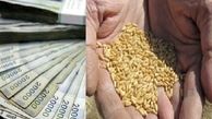 آیا نرخ ۱۷۰۰ تومانی گندم جوابگوی هزینه‌های کشاورزان است؟ 