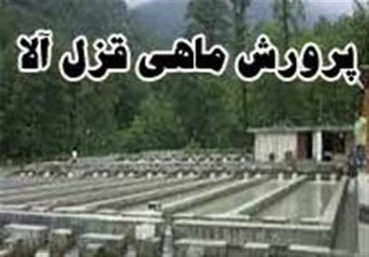 جوانی با سرمایه ۳ میلیون به درآمد ۸ میلیونی در ماه رسید 