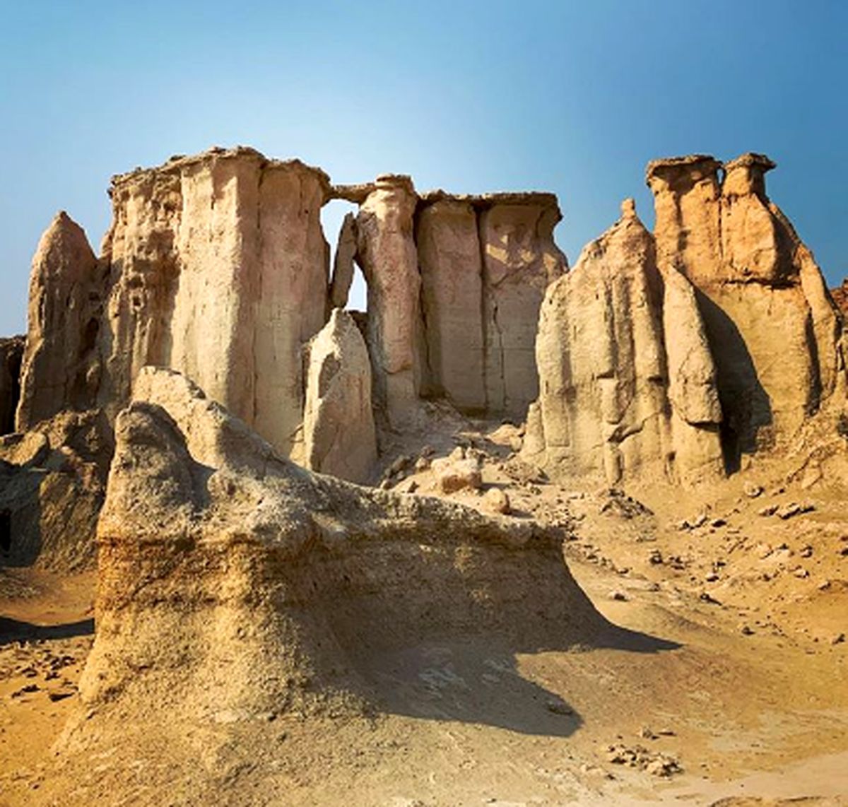 علاقه هانیه توسلی به طبیعت جنوب