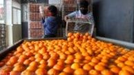 قیمت میوه شب عید مشخص شد + تصاویر