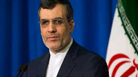 دستیار ارشد وزیر خارجه وارد سوچی شد