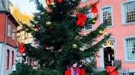 عکس کریسمسی فلور نظری در خارج از کشور
