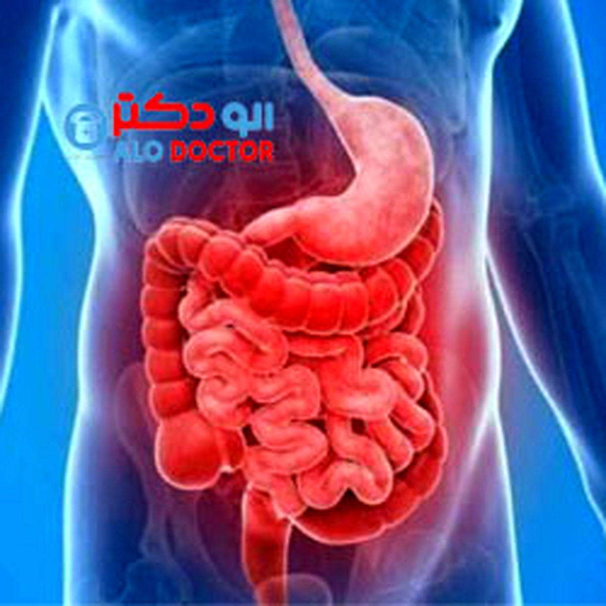 چند توصیه برای پیشگیری از مشکلات گوارشی