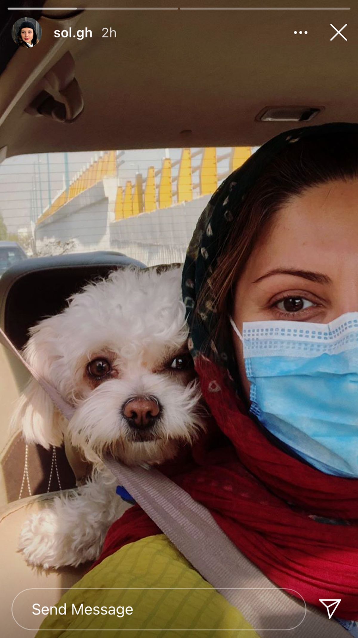 سلفی خانم بازیگر با سگش + عکس