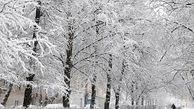 هواشناسی ایران ۱۴۰۰/۰۹/۰۳؛ بارش باران و برف ۵ روزه در ۱۴ استان/ هشدار سیلاب و کولاک برف در برخی مناطق کشور
