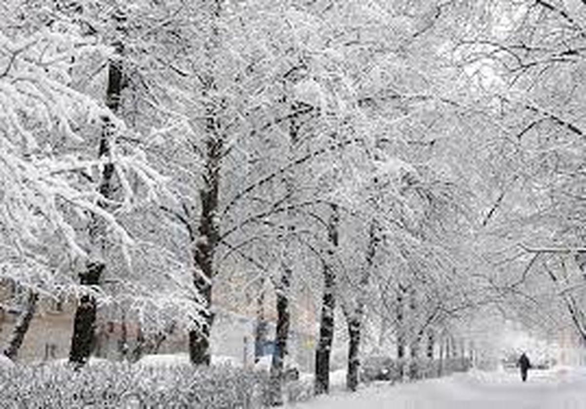 هواشناسی ایران ۱۴۰۰/۰۹/۰۳؛ بارش باران و برف ۵ روزه در ۱۴ استان/ هشدار سیلاب و کولاک برف در برخی مناطق کشور