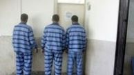 انهدام باند سرقت مسلحانه نیسان با بار منزل در کمتر از 24 ساعت
