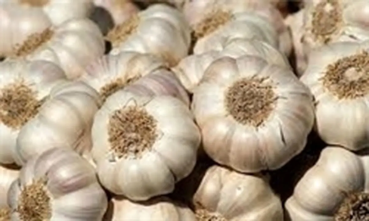 با این مواد غذایی، سرطان را به مبارزه بطلبید