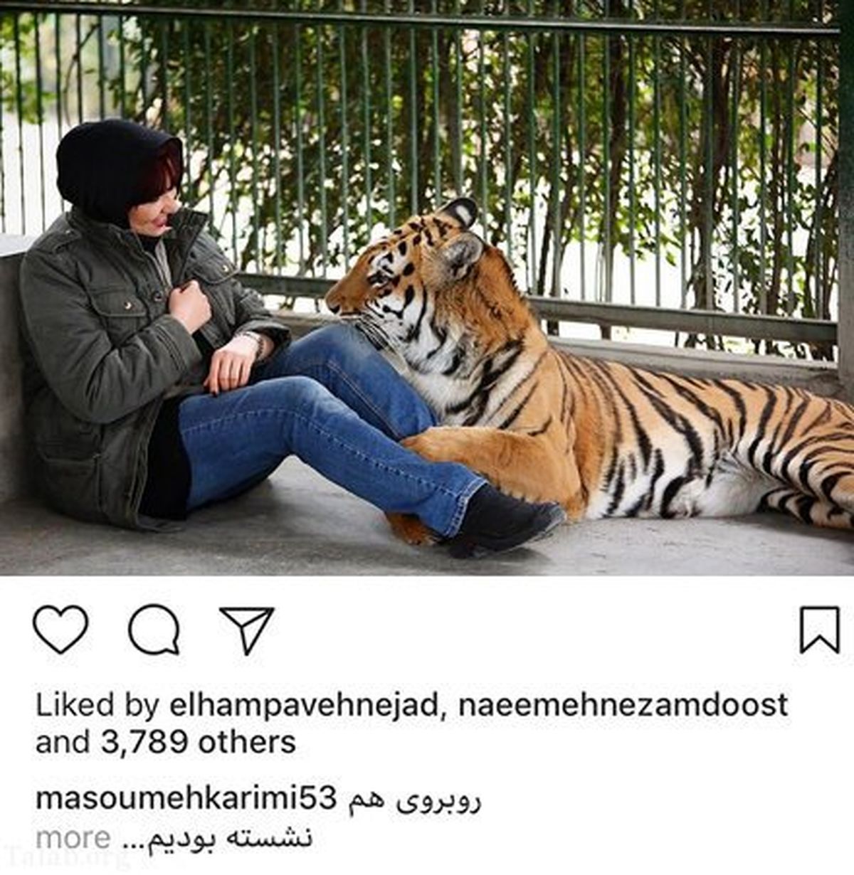 بازی خانم بازیگر با ببر عظیم الجثه+عکس