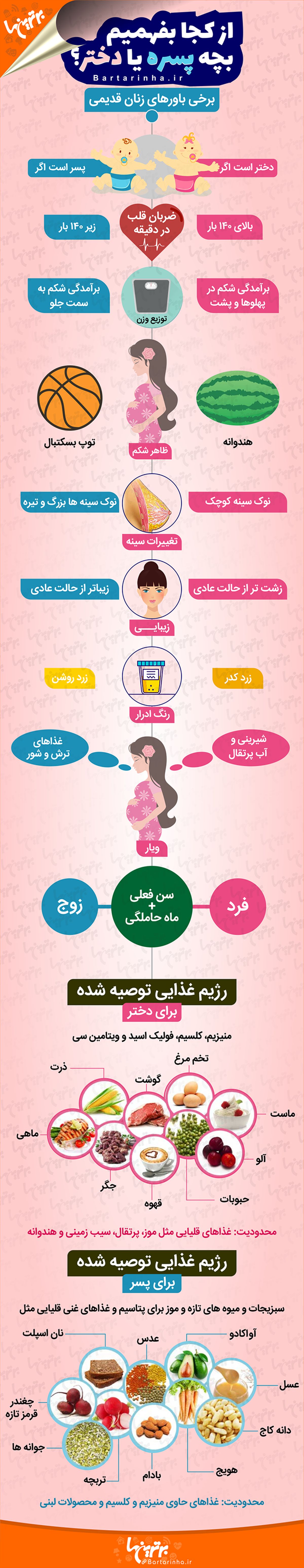 از کجا بفهمیم بچه پسر است یا دختر؟/اینفوگرافی