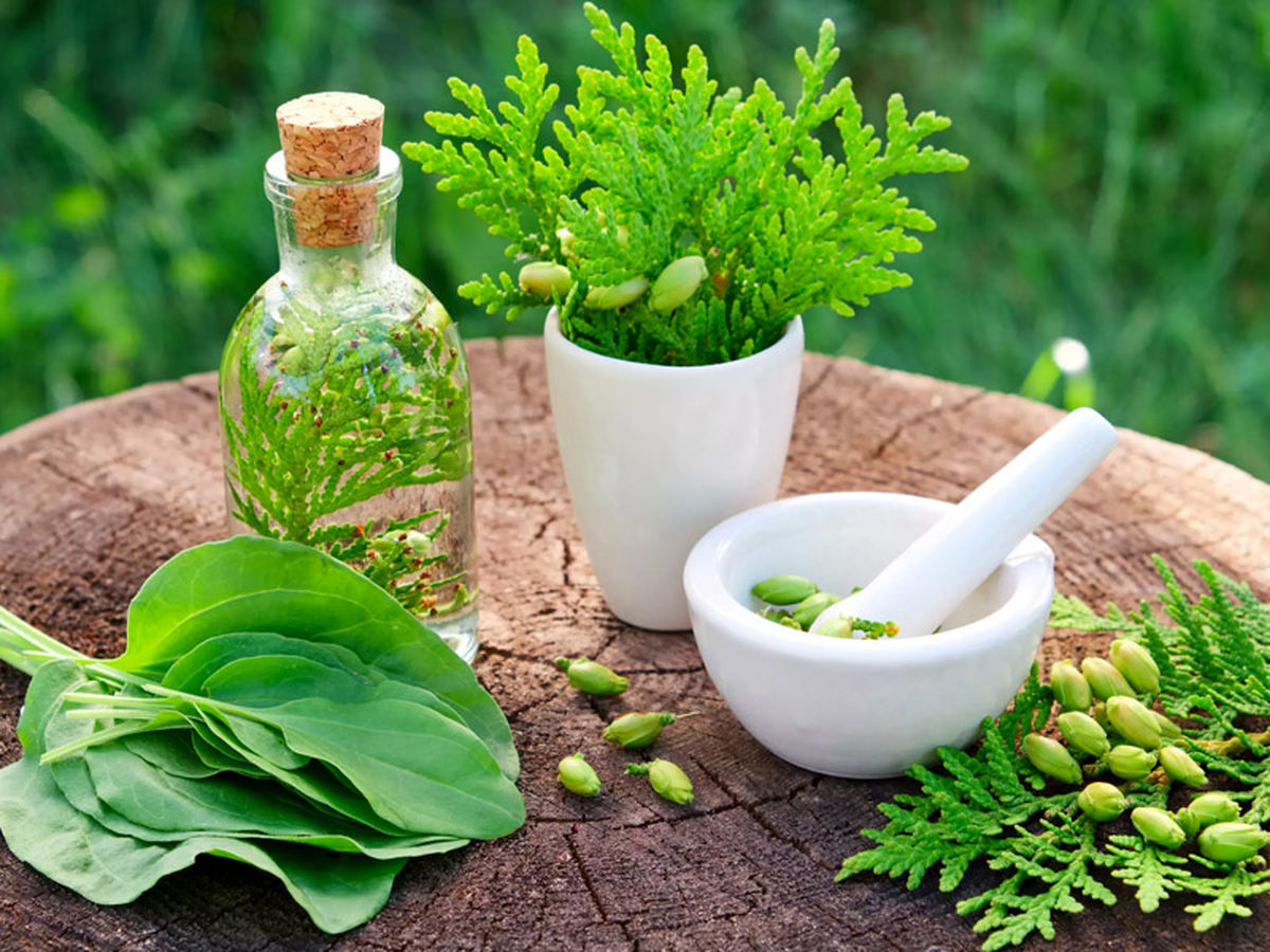 بهترین عرقیات گیاهی اصل را از کجا بخریم؟