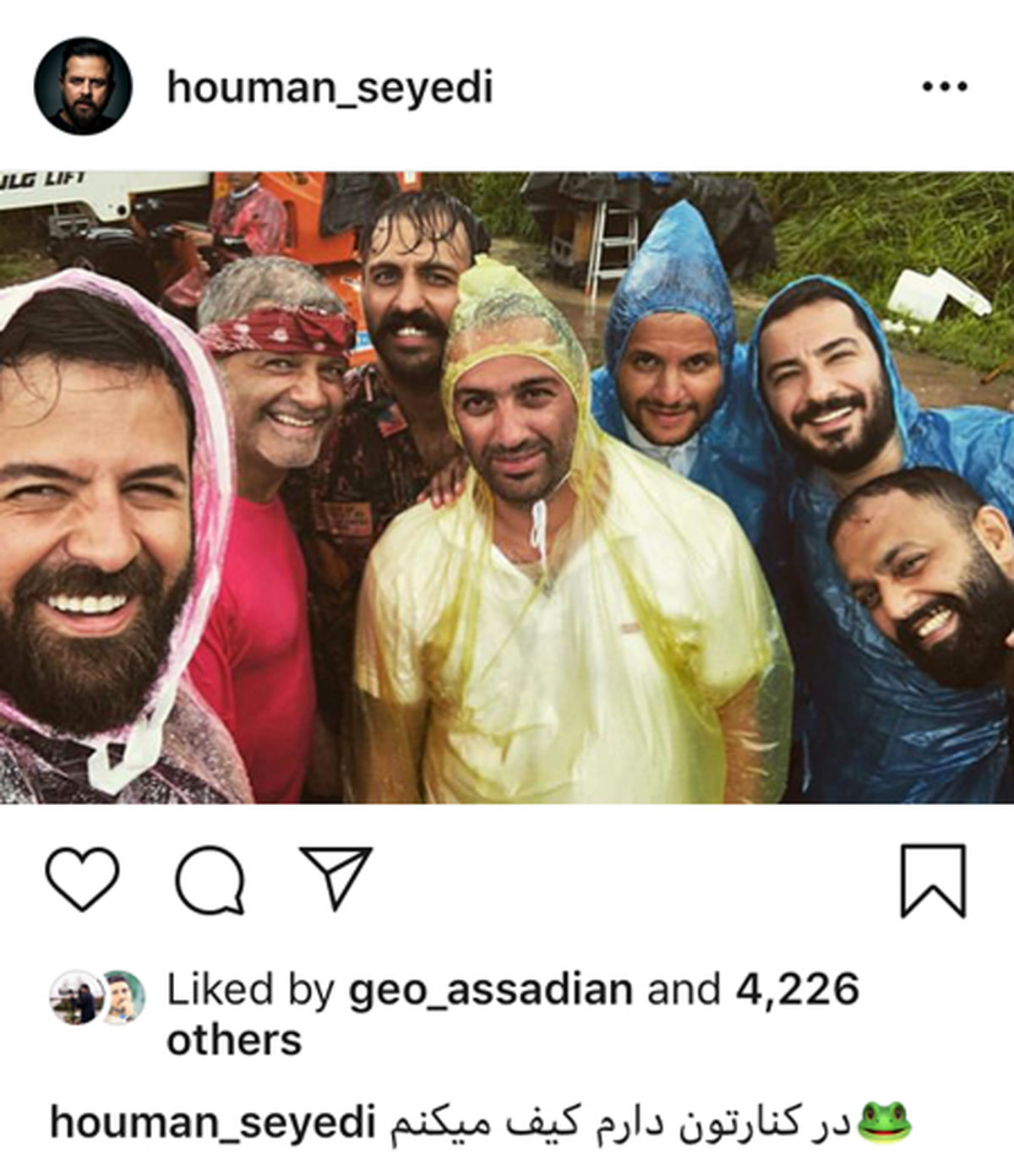 قورباغه ایها در زیر باران + عکس