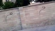 چرا داعش از حرف "میم" وحشت دارد؟!