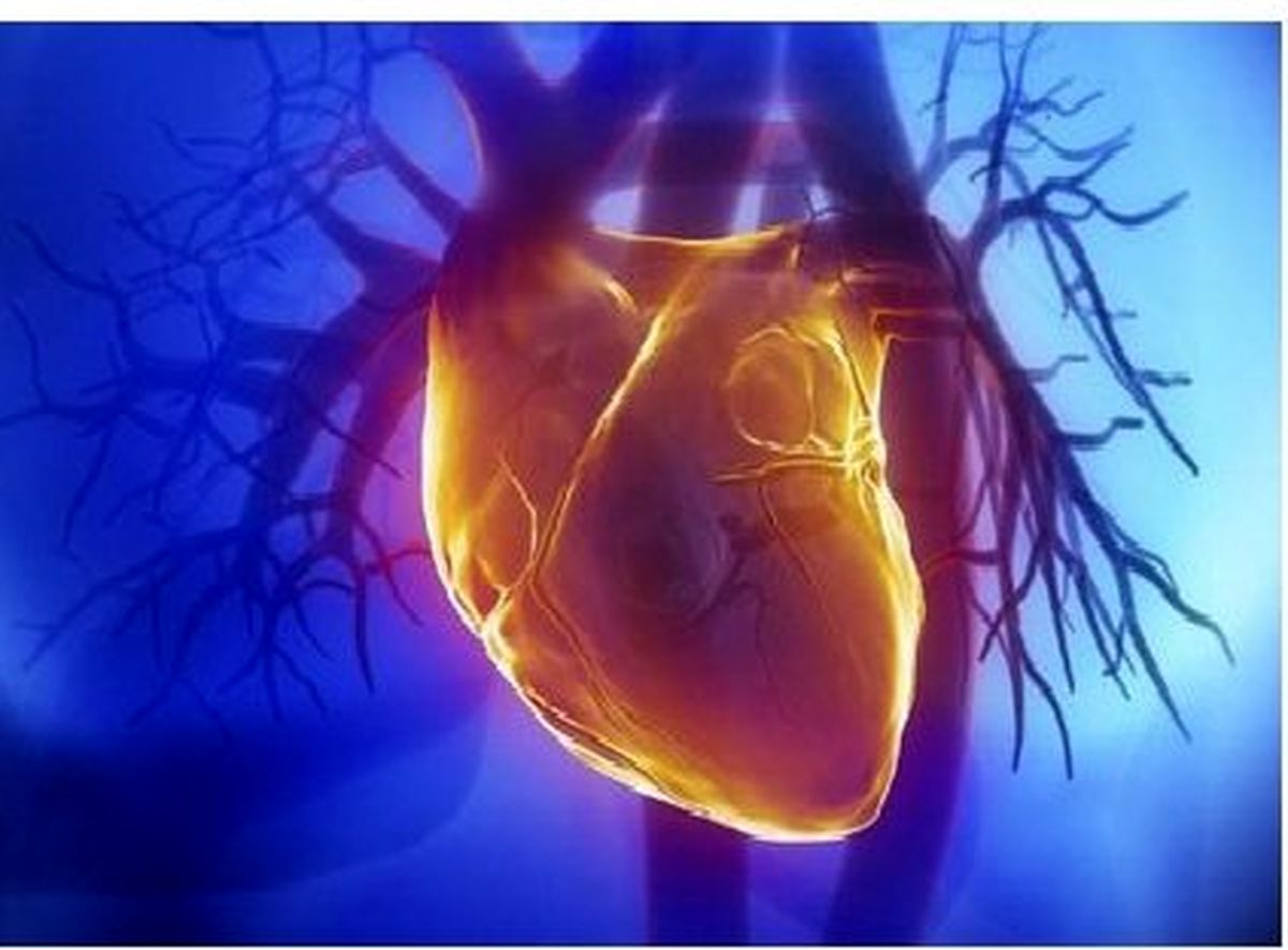 حملات قلبی در چه ساعاتی بیشتر رخ می‌دهند؟