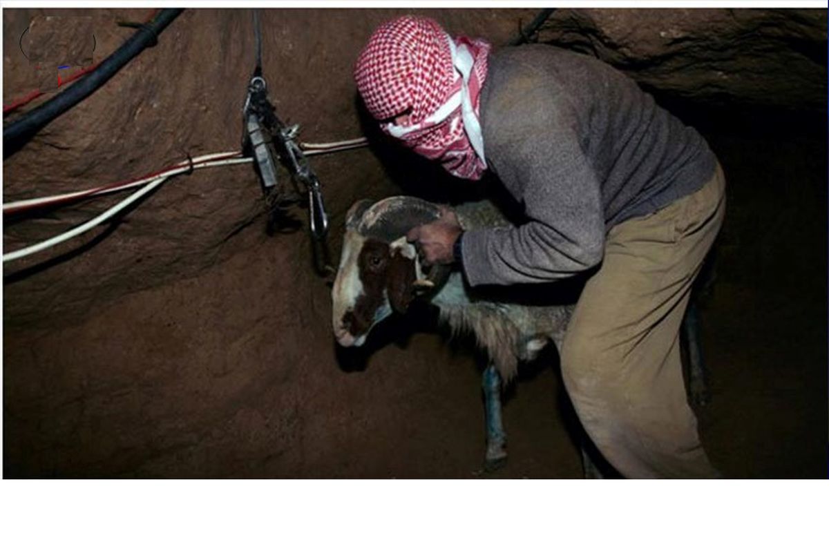 ناپدید شدن چهار کارگر فلسطینی در تونلی در مرز غزه
