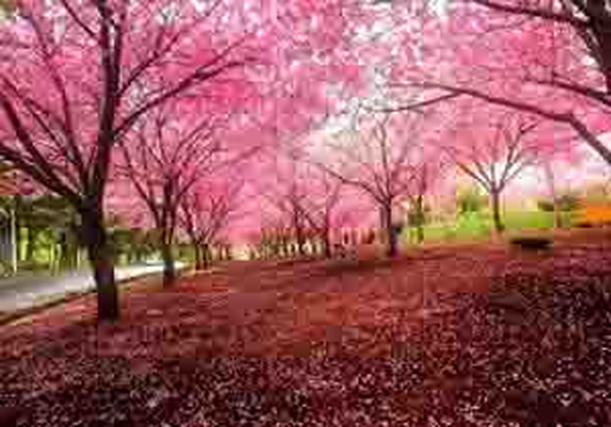 راه هایی برای سالم ماندن در این فصل
