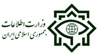 وزارت اطلاعات فعالیت مدیران دوتابعیتی در پست‌های حساس و مدیریتی را رد کرد