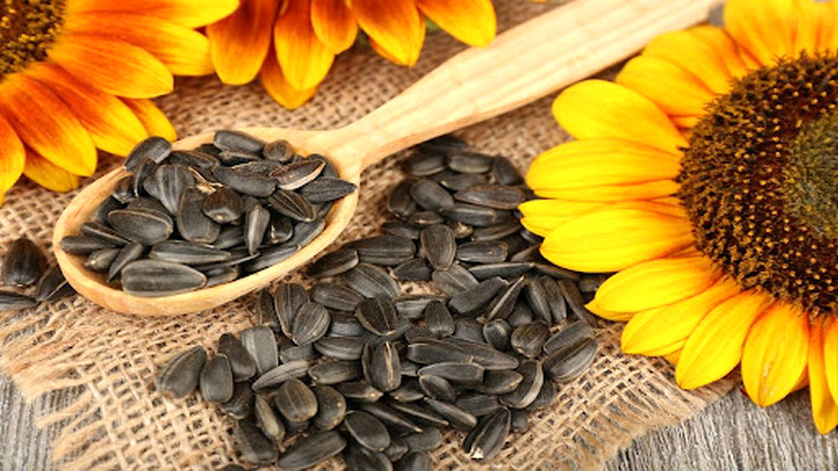 خوراکی هایی که باعث رودل می شوند