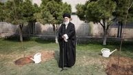 جنگل‌ها و منابع باید از دست‌اندازی سوداگران حفظ شود